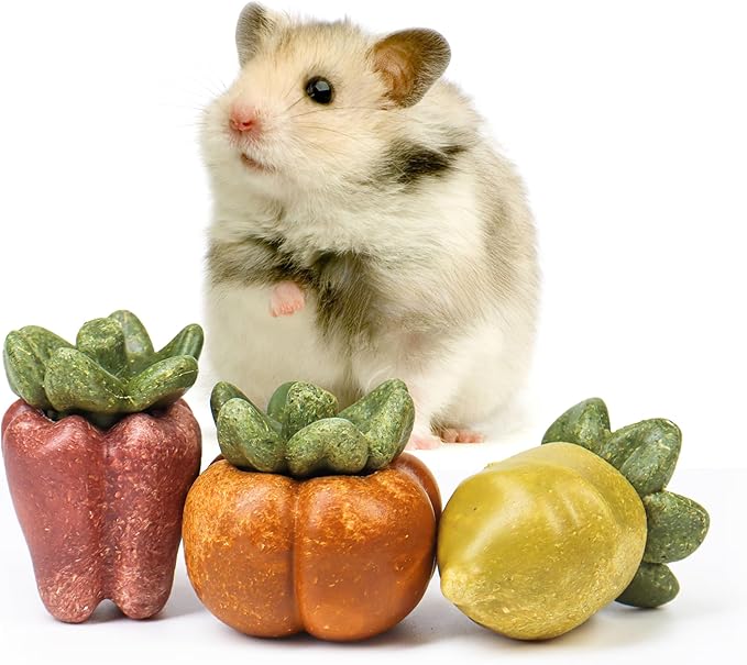 TEEWY Guinea Pig Chew Toys, Natural Vegetables and Timothy Grass, Hamster Chew Toys, Prevents Excessive Tooth Growth in Chinchillas, Gerbils, Hamsters, and Rabbits, Fruits & Vegetables Set