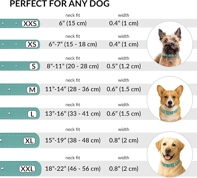 CollarDirect Rolled Leather Dog Collar, Soft Padded Round Puppy Collar, Handmade Genuine Leather Collar Dog Small Large Cat Collars 13 Colors (11-14 Inch, Mint Green Smooth)