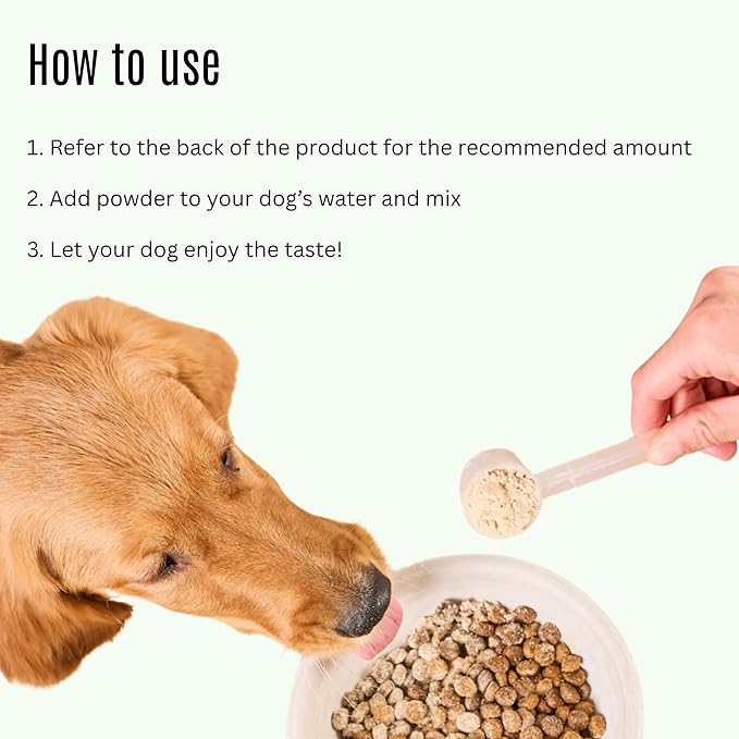 K9 Power Go Dog Hydration & Performance Drink Mix 1 lb - Active Dog Supplement for Muscle Function, Endurance, Recovery, with Electrolytes Support - Pack of 2