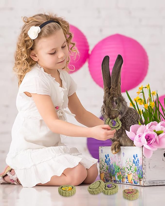 Sofier 12Pcs Timothy Hay Treats - Natural Chews for Teeth - Handmade Rabbit, Chinchilla, Gerbil, Rat, Hamster Toys - Bunny & Guinea Pig Toys