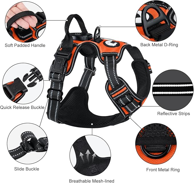 Taglory Light Up Dog Harness, Rechargeable No Pull Dog Vest with 3 Lightning Modes, Reflective Dog Harness with 2 Leash Clips & 4 Adjustable Slide Strips for Large Dogs, Orange-Orange, XL