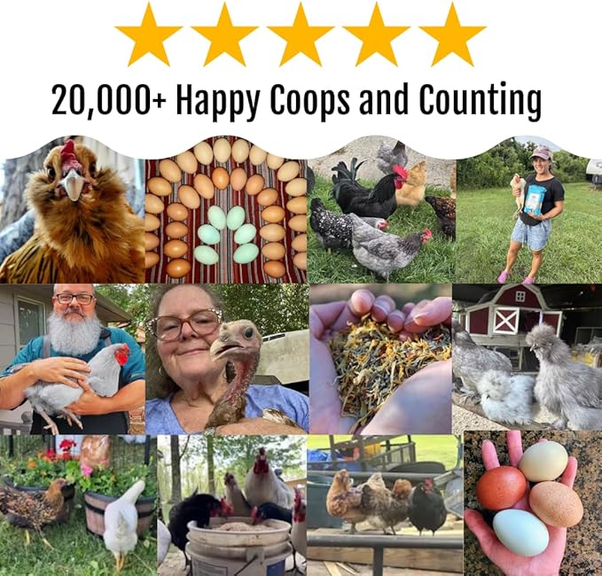 Herb Supplement for Backyard Chickens - Natural Chicken Treats, Poultry Feed Botanical Mix, Plant-Based Coop Snacks for Daily Wellness, Feather Quality, Egg Production, USA (5 LB)