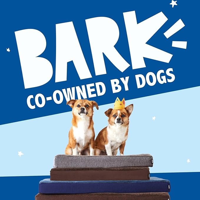 Barkbox Orthopedic Dog Bed with Memory Foam, Premium Comfort for Dogs and Puppies, Dog Bed for Joint Relief and Restful Sleep, Durable and Easy to Clean - Grey, XXL