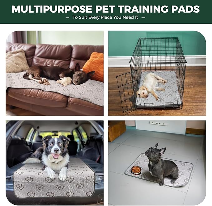 FXW Washable Pee Pads for Dogs, Puppy Pads with Super Absorbent, Specifically Designed for 36inch Cages, 35" × 23" Rectangle, Khaki, 1 Pack