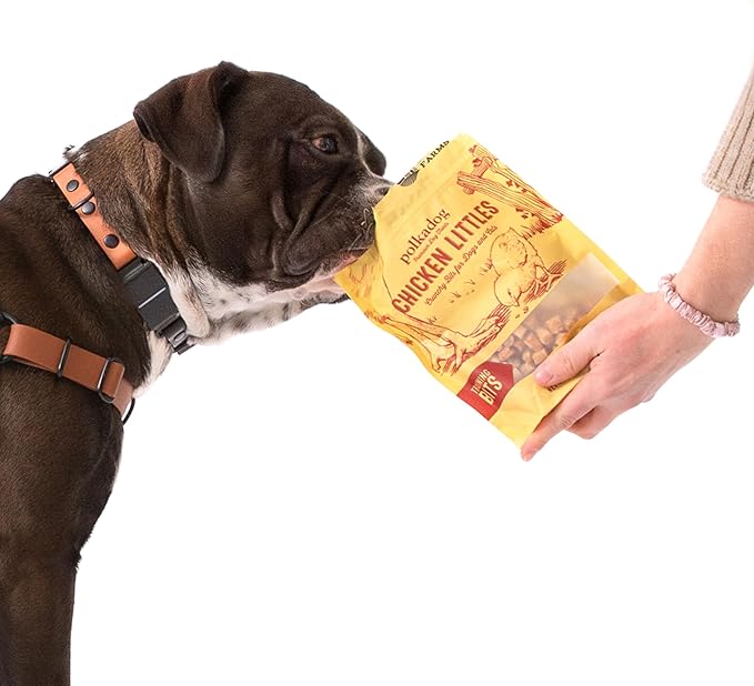 Polkadog Chicken Littles Crunchy Training Bits – All Natural, Limited Ingredient Healthy Training Treats for Dogs. Handcrafted & Made in USA. Great for Dogs with Allergies or Sensitive Stomachs – 7oz