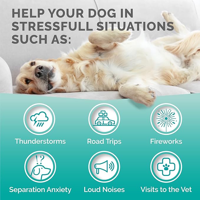 PREMIUM CARE Hemp Calming Chews for Dogs, Made in USA - Helps with Dog Anxiety, Separation, Barking, Stress Relief, Thunderstorms and More, 9.3 oz (264g), 120 Count