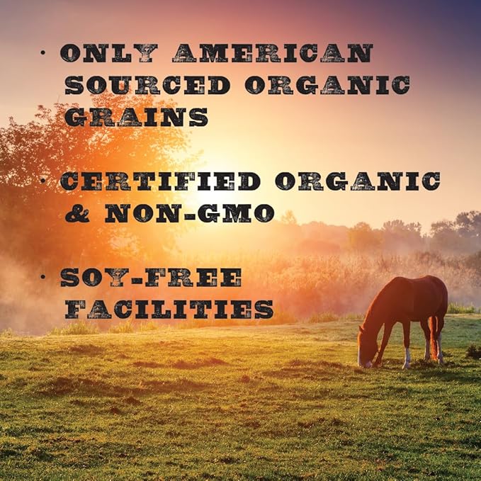 New Country Organics | Performance Horse Feed for Horses in Light to Moderate Work | Corn-Free and Soy-Free | 12% Protein | Certified Organic and Non-GMO | Horse Feeder with Grains & Oats 40 lbs