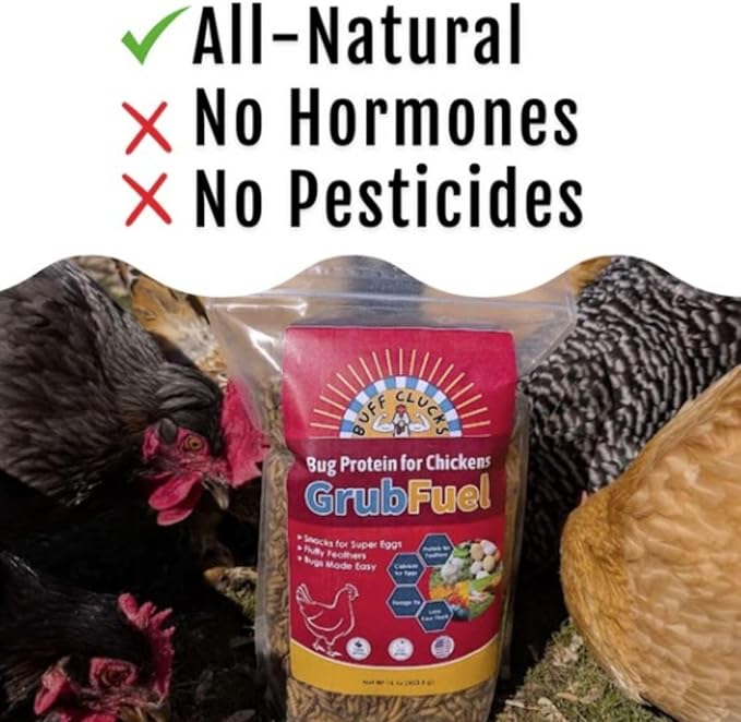 Grub Fuel Black Soldier Fly Larvae for Chickens - Nutrient Packed BSFL, Sustainably Sourced Snack for Poultry, Rich in Protein, Calcium, Fiber, Essential Fatty Acids, USA Grown (5LB)