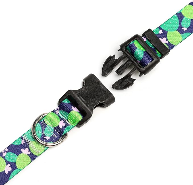 Mercano Adjustable Dog Collar - Special Design Patterns, Soft Nylon Comfortable Durable Pet Collar for Small Medium Large Dogs (XS, Cactus)