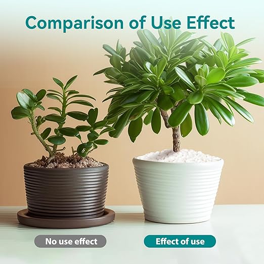 5 lbs Small White Rocks for Planters, 3/8" White Pebbles for Vases, Decorative Small Stones for Plants, Succulents, Bamboo, Terrarium, Landscape, Garden