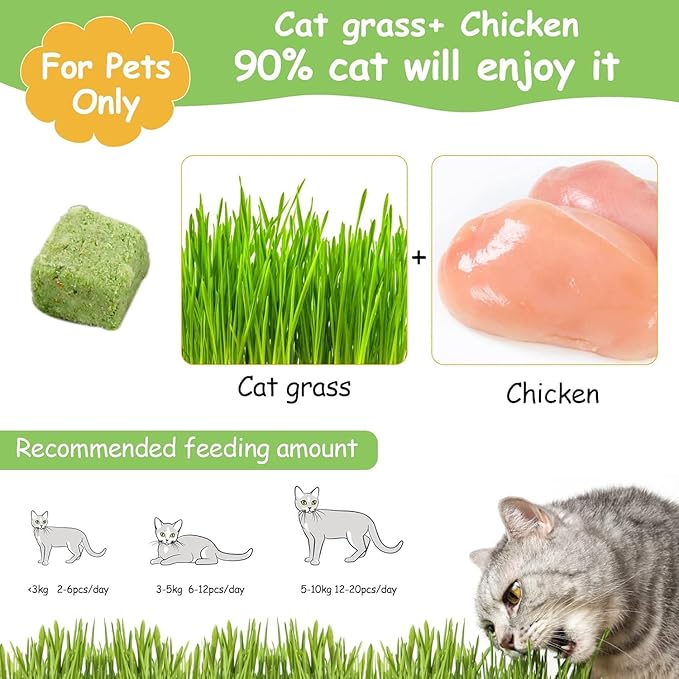 HavenJanny 60g Cat Grass Treats for Cats, Freezed Drying Cat Grass Teething Stick Snacks for Kitty, Edible Cats Chew Toys for Teeth Cleaning and Hairball Removal