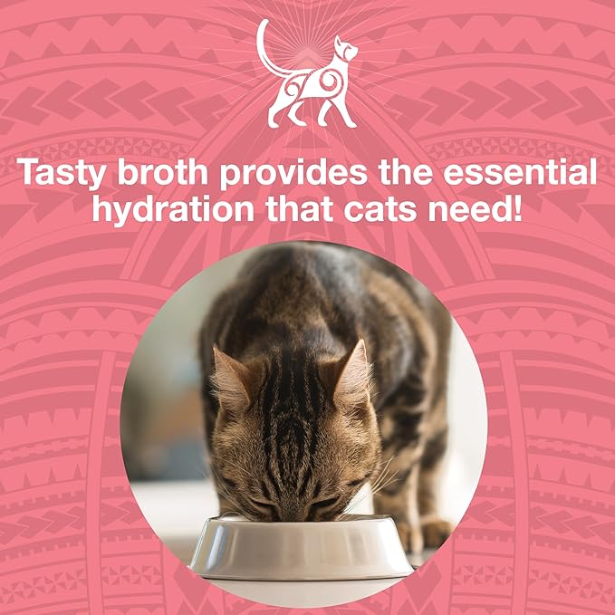 KOHA Pure Shreds Chicken and Salmon Entrée for Cats, High Protein Wet Cat Food, 2.8oz Cans (Pack of 24)