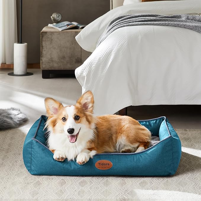 Orthopedic Dog Beds for Medium Dogs, Durable Egg Crate Foam Sofa Dog Bed wit Washable Removable Cover,Waterproof Lining,Pet Bed for Large Dogs (Peacock Blue, 31.5" L x 25.2" W x 7" Th)