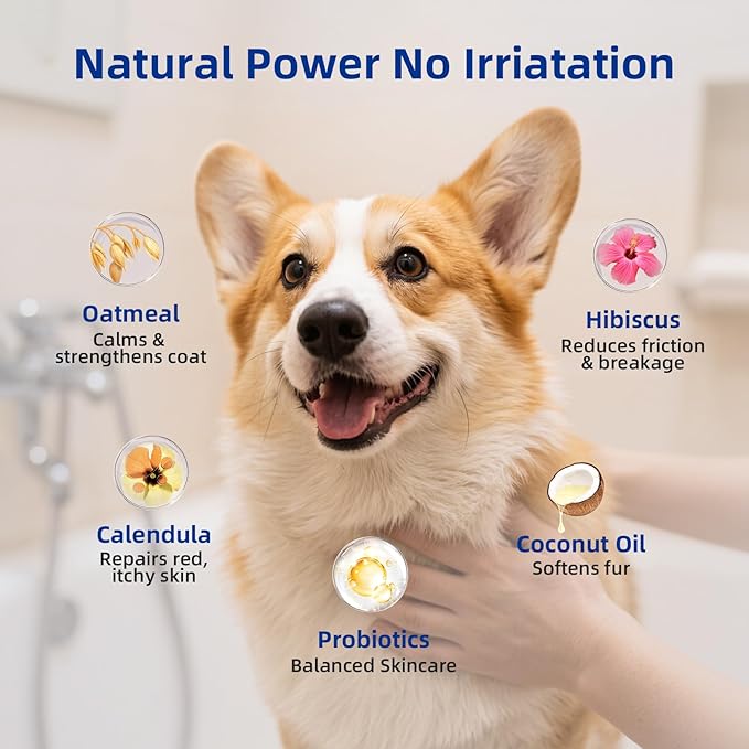 Unipaws Probiotics Dog Shampoo & Conditioner Set for Short-Haired Coats – Itch Relief, Deodorizing & Anti-Shedding for Skin Comfort & Balance with Calendula – EWG Green, Made in Korea, 2×16.9 Fl Oz