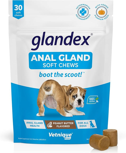 Vetnique Labs Glandex Anal Gland Soft Chew Treats with Pumpkin for Dogs Digestive Enzymes, Probiotics Fiber Supplement for Dogs Boot The Scoot (Peanut Butter Chews, 30 Count)