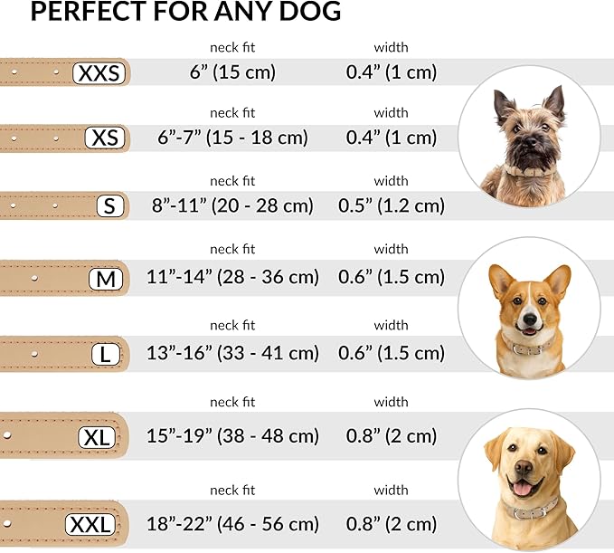 CollarDirect Rolled Leather Dog Collar, Soft Padded Round Puppy Collar, Handmade Genuine Leather Collar Dog Small Large Cat Collars 13 Colors (11-14 Inch, Beige Smooth)