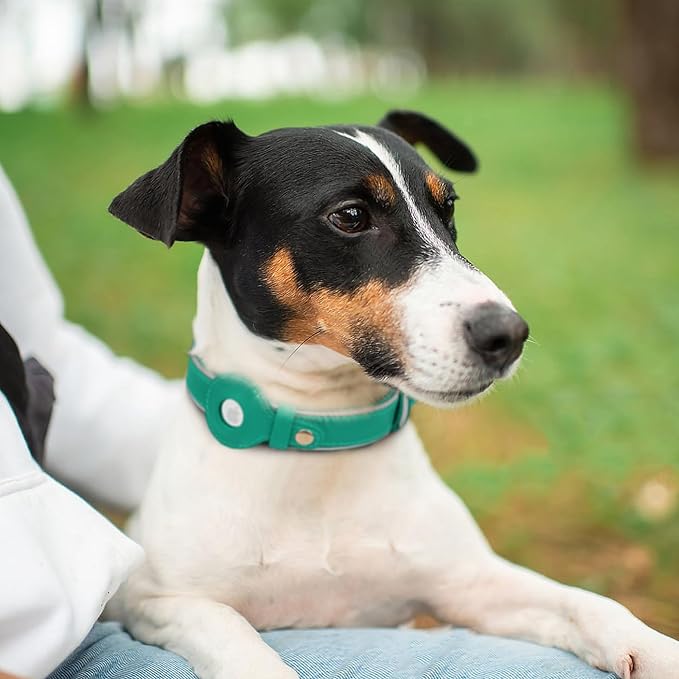 OOPSDOGGY Reflective Geniune Leather Airtag Dog Collar Soft Padded Collars for Small Medium Large Breed Dogs Puppy, 4 Sizes, 7 Colors (Teal, Small, 9"-12")