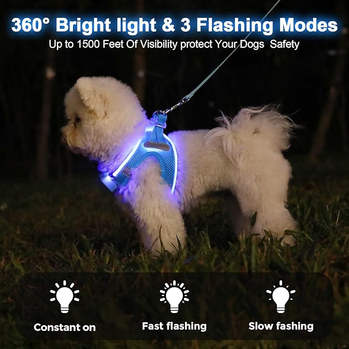 Light Up Dog Harness,Rechargeable LED Dog Harness for Small Medium Large Dogs,Reflective Lighted Safety Vest for Night Walking & Camping,Lightweight & Adjustable,Sky Blue,L