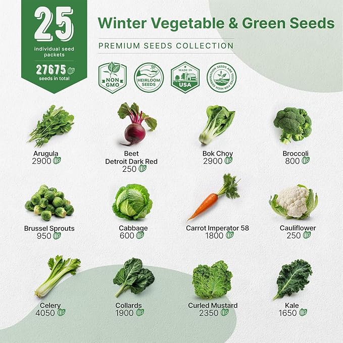 Organo Republic 25 Winter Vegetable & Green Seeds Variety Pack for Outdoors & Indoor Home Gardening 27670+ Non-GMO Heirloom Seeds: Broccoli Beet Carrot Collard Lettuce Radish Spinach Pea Kohlrabi