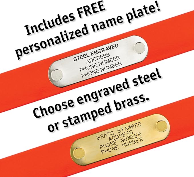 Biothane Custom Dog Collar – Waterproof, Stink-Proof Personalized Collar with Name & Phone Number – Durable, Many Sizes and Colors – Assembled in USA (Forest Green)