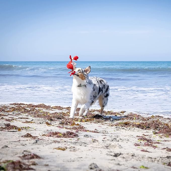 Hyper Pet Doggie Pal Interactive Dog Toys (Dog Toy that Wiggles, Vibrates, and Barks Plush Toys for Boredom and Stimulating Play)