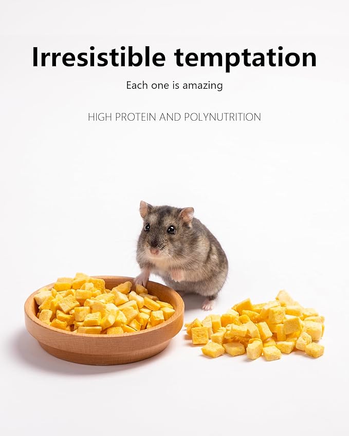 Niteangel Hamster Snack & Treats Toy - Small Animal Natural Treat for Dwarf Syrian Robo Hamsters Gerbils Mice Lemmings Degus or Other Small-Sized Pets