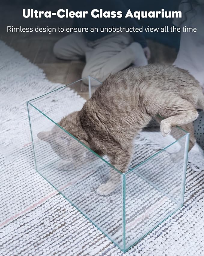 Pawfly 5 Gallon Fish Tank Ultra Clear Rimless Glass Aquarium Kit with Extendable LED Light Internal Filter Magnetic Brush & Thermometer Stickers Rectangular Glass Fish Tank Kit for Betta Shrimp Plants