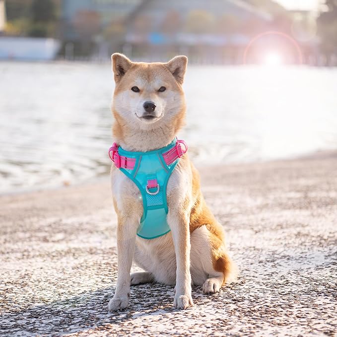 PHOEPET No Pull Dog Harness, Unique Colors Reflective Adjustable Dog Vest, with Soft Training Handle Metal Clips for Small Medium Large Dogs (Mint Green Base & Pink Straps,XL)