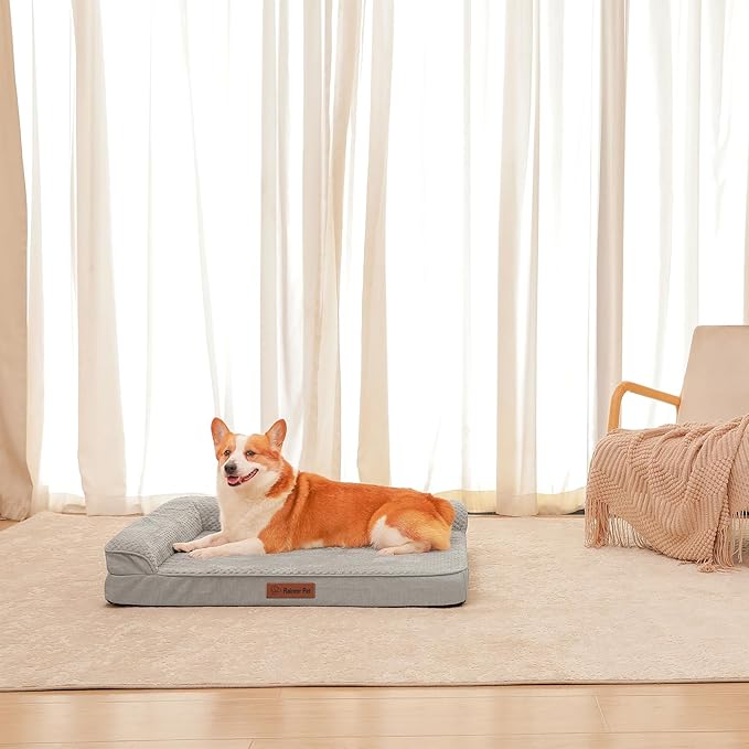 Orthopedic Dog Beds Large Sized Dog, 3 Inch Memory Foam Pet Bed for Medium and Large Dogs, Washable Removable Cover, Nonskid Bottom, Waterproof, 36x27 Inches L Light Grey