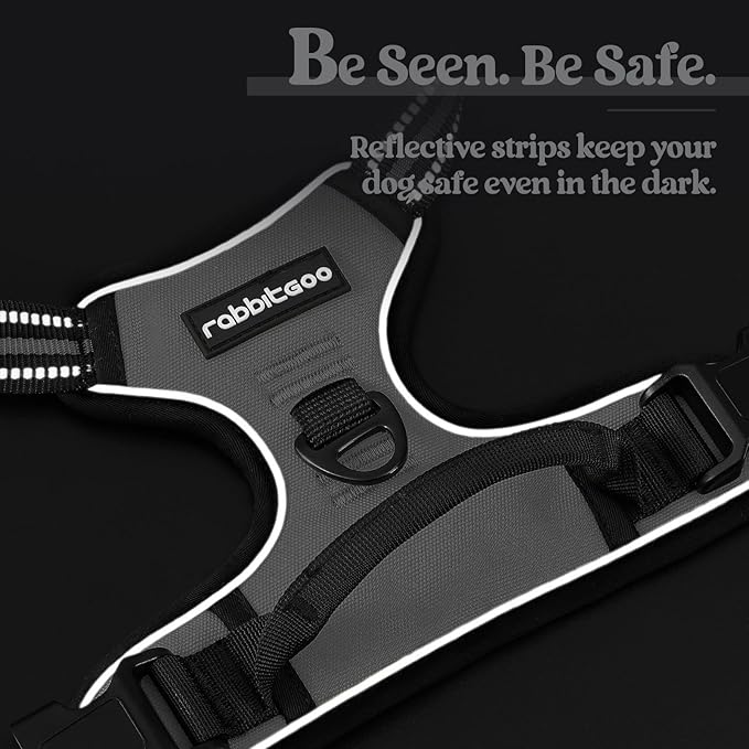 rabbitgoo Dog Harness No Pull with 2 Leash Clips, Adjustable Soft Padded, Reflective Oxford No Choke Pet Vest with Easy Control Handle for Medium Sized Dogs, Grey, M