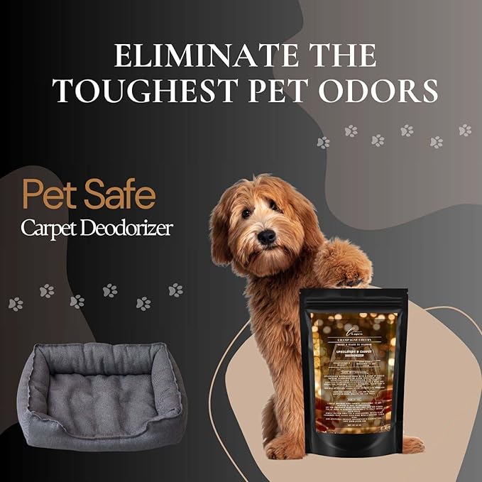Champagne Cheers Carpet Freshener Powder: Powerful Odor Eliminator for Home, Upholstery Deodorizer, Carpet Deodorizer, Pet Urine, Cat Litter Box - Champagne Toast Fragrance