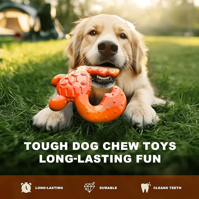 Dog Chew Toy for Aggressive Chewers – Durable Nylon Material, Tough Interactive Dog Toy for Large and Medium Dogs, Perfect for Teeth Cleaning and Gum Health, Christmas Birthday Gifts for Dogs
