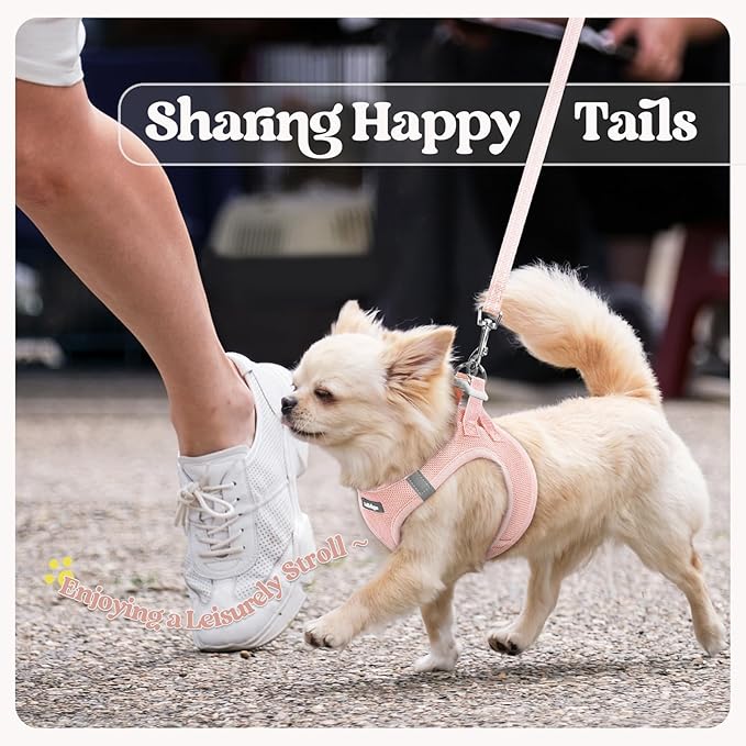 rabbitgoo Dog Harness Small Sized and Leash Set, Step in Soft Light Puppy Vest, Breathable Mesh Pet Harness, Reflective for Safe Outdoor Walking, Pink XS