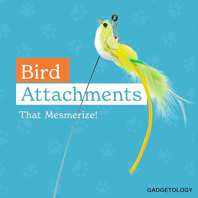 Interactive Bird Simulation Cat Toy Set for Bored Indoor Adult Cats Feather Toy Wand 5 Pcs Natural Bird Feathers Stable Round Base Wand Cat Toys for Indoor Cats Hunting Toys