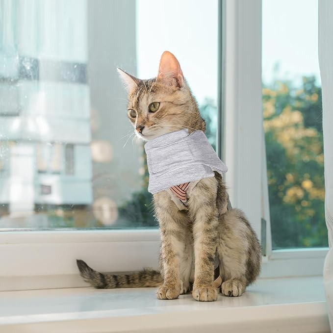 Cat Neck Brace, Adjustable Breathable Elizabethan Collar for Pet After Surgery Recovery Cat Neck Cervical Cone for Small Dogs Puppies Kittens with Neck Circumference 6.3-8.6 Inch (X-Small,Grey)
