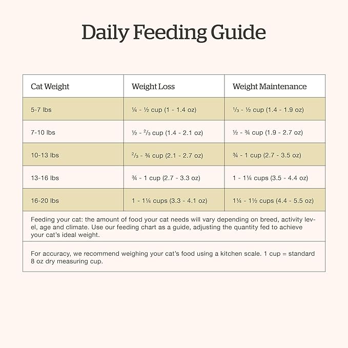 Now Fresh Grain-Free Senior Dry Cat Food with Turkey, Salmon & Duck, Premium Kibble Made with Real Meat & Fish, Chicken-Free Recipe, Supports Healthy Weight Management, 16 lb Bag