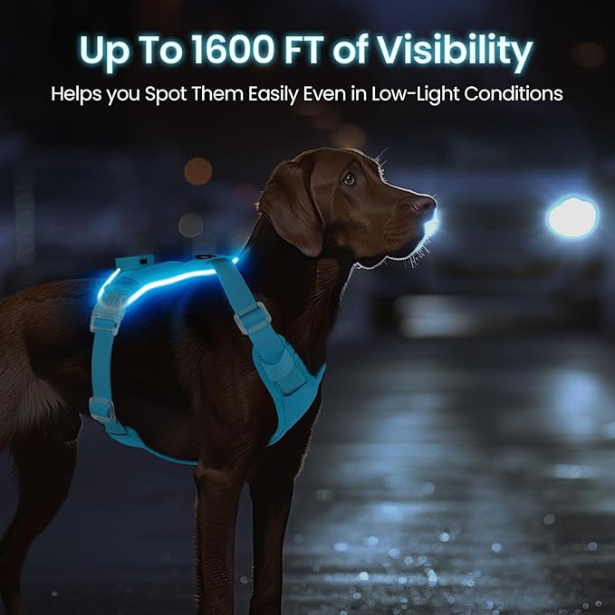 Light Up Dog Harness,Reflective Pet Harness Rechargeable,Led Dog Vest Harness for Night Walking,Adjustable Dog Safety Vest for Small Medium Large Dogs-No Pull,Blue,L