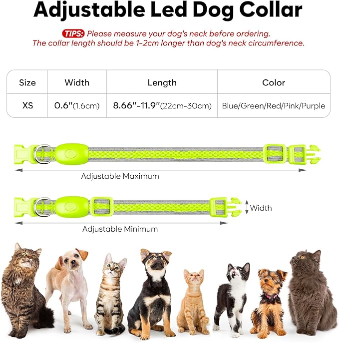 Flashseen LED Cat Collar,Light Up Dog Collar Rechargeable, Dog Lights for Night Walking, Comfortable Soft Mesh Pet Collar Adjustable for Cats Puppy and Small Dogs(Neon Green, XS)