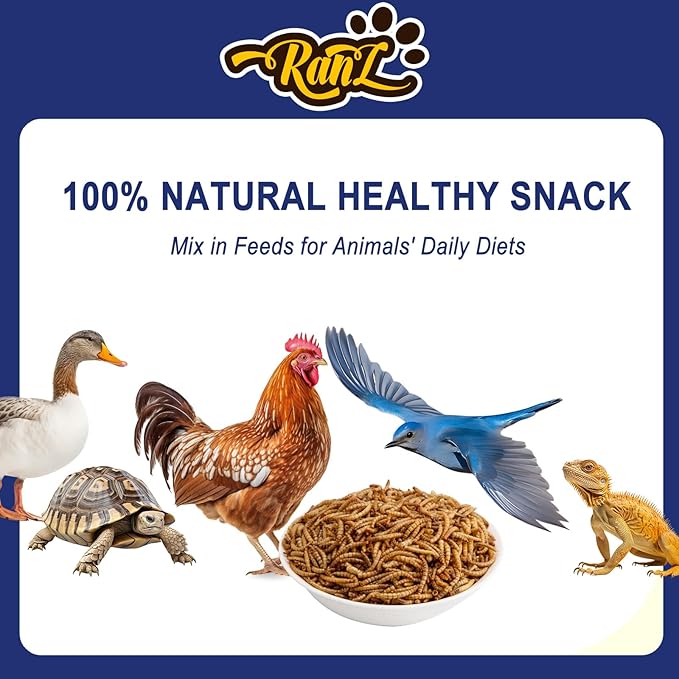 RANZ 10LBS Non-GMO Dried Mealworms for Chickens, High Protein Meal Worms, Premium Chicken Feed, Perfect Bird Food and Chicken Treats, Whole Large Mealworms for Wild Birds, Ducks, Fish