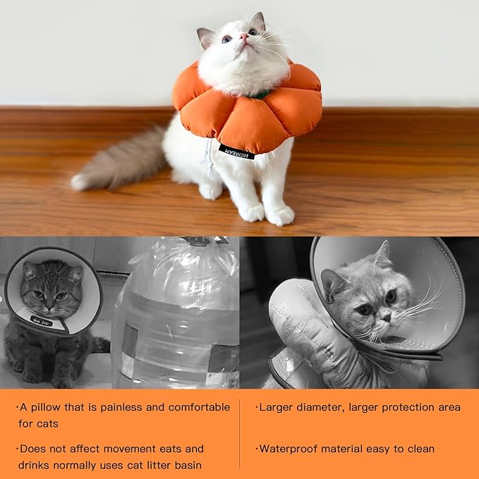 H HIDREAM Cat Cone Collar,Cute Waterproof Recovery Collar,Anti-Bite Lick Wound Healing Safety Elizabethan e Collar for Cats,Orange Pumpkin Halloween Costume, HDY01-005M