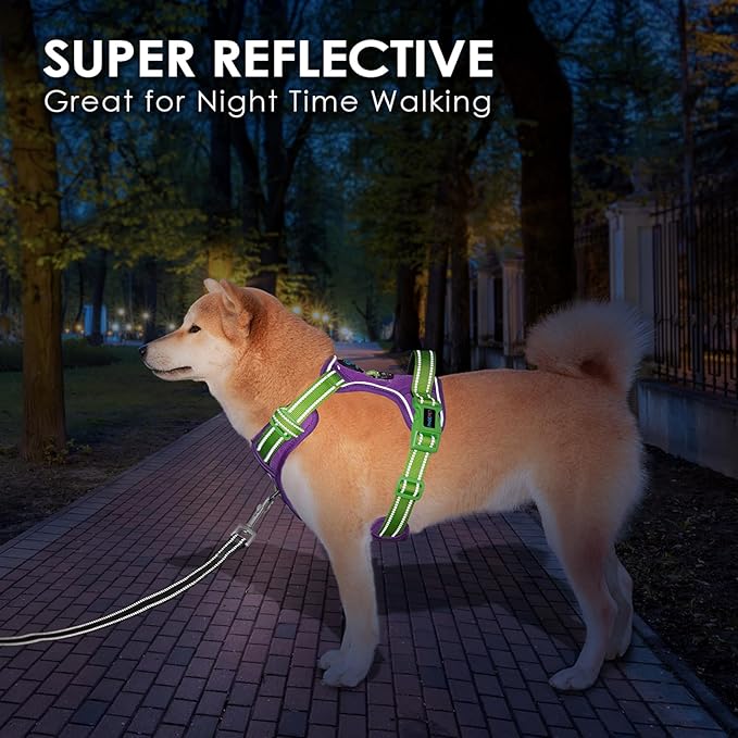 PHOEPET No Pull Dog Harness, Unique Colors Reflective Adjustable Dog Vest, with Soft Training Handle Metal Clips for Small Medium Large Dogs (Purple Base & Green Straps,XL)