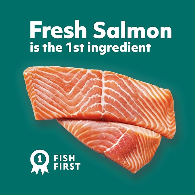 OPtimeal Skin & Sensitive Stomach Cat Food - Proudly Ukrainian - Healthy Cat Food Dry Recipe for Skin & Digestive Support, Tasty Dry Cat Food for Pets (8.8 lbs, Salmon & Brown Rice)