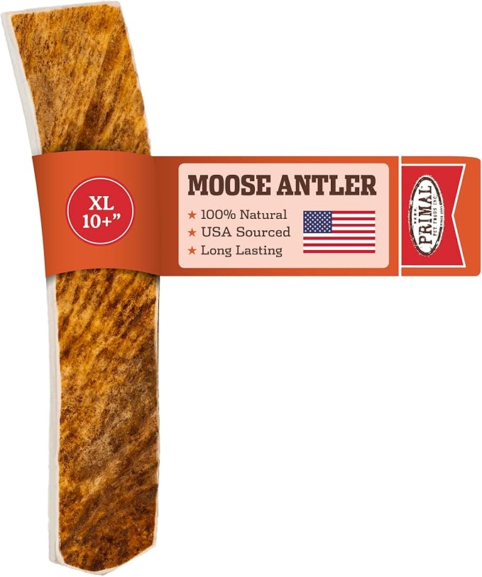 Primal Antlers for Dogs, Grade A Split Moose Antlers for Large Canines 45-60 lb, Natural Chews for Aggressive Chewers, Naturally Shed, Long Lasting Dog Bones, 1 ct