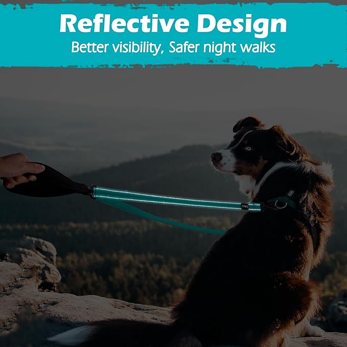 PetBonus Two Point Control Dog Leash, Works with No Pull Harnesses, No Tangle Dog Training Leashes, No Pull Padded and Reflective Walking Lead,Converts to Single Leash for Medium Large Dogs(Turquoise)