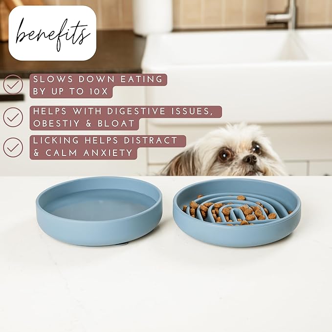 The Slowdown Bowl Silicone Slow Feeder for Cats & Dogs, Slow Eating Mealtime Solution with Modern Lick Mat Design, Reduces Gulping, Fits 1 Cup 6” Across x 1.25” Tall, Small-Charcoal