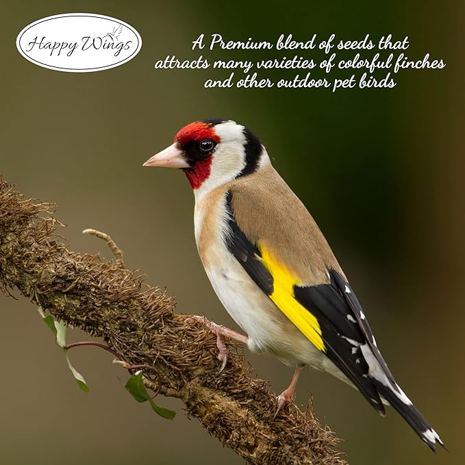 Finch Blend Bird Food - Mix of Sunflower Hearts/Kernels and Nyjer, 5 Pounds - No Grow Seed - For Wild Birds