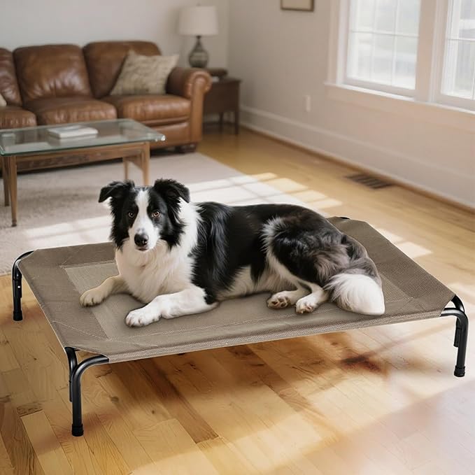 Elevated Dog Bed for Outdoor, Large Raised Dogs Cot for Training, Cooling Pet Beds with Washable Mesh, Indestructible Lifted Platform for Outside Camping, 41 inch Brown