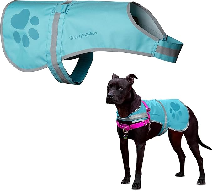 Dog Reflective Vest – Hi-Vis Fluorescent Visibility That Helps to Safeguard Your Pet On/Off Leash in Urban & Rural Areas (Teal, X-Small)