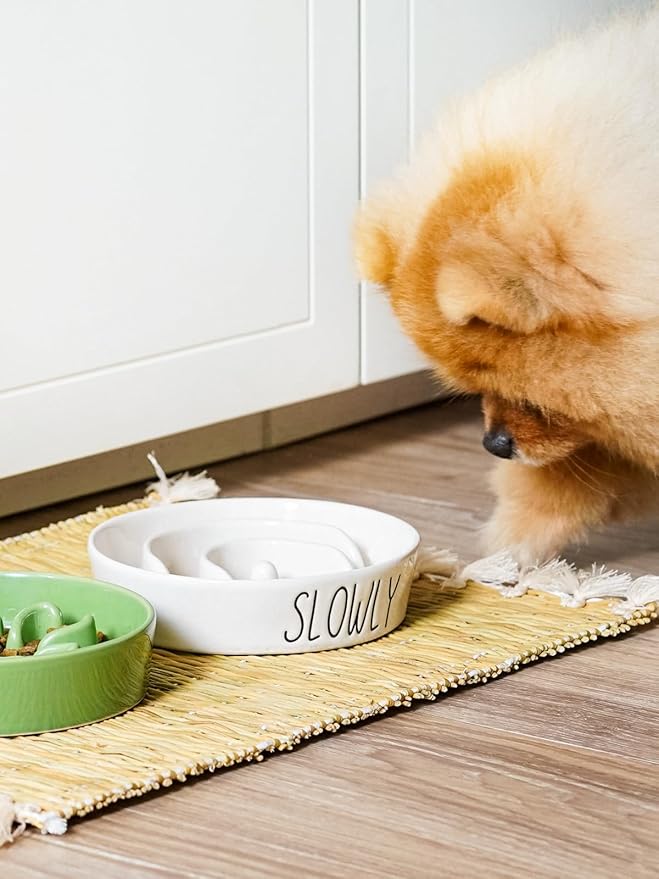 Ceramic Slow Feeder Dog Bowls Small Breed, 0.6 Cups Dog Food Dish for Fast Eaters, Puzzle Bowl for Small Dogs and Cats,White