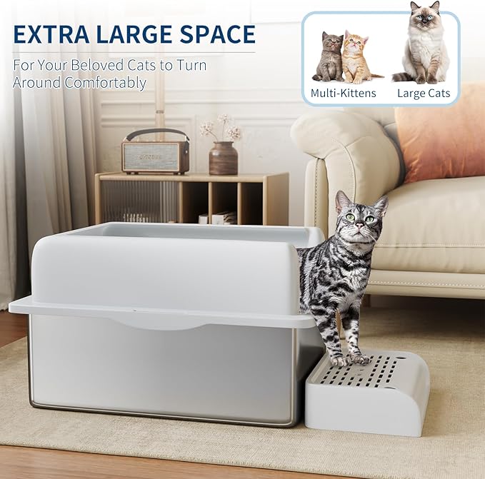 Stainless Steel Cat Litter Box 8 inch, XXL Large Cat Litter Tray with High Side, Platform Step and Scoop for Big Cats Multiple Cats, Easy Clean